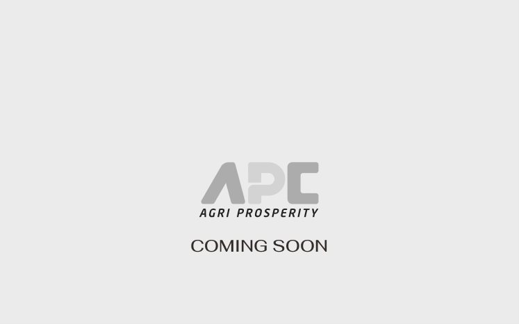 du an cong ty apc