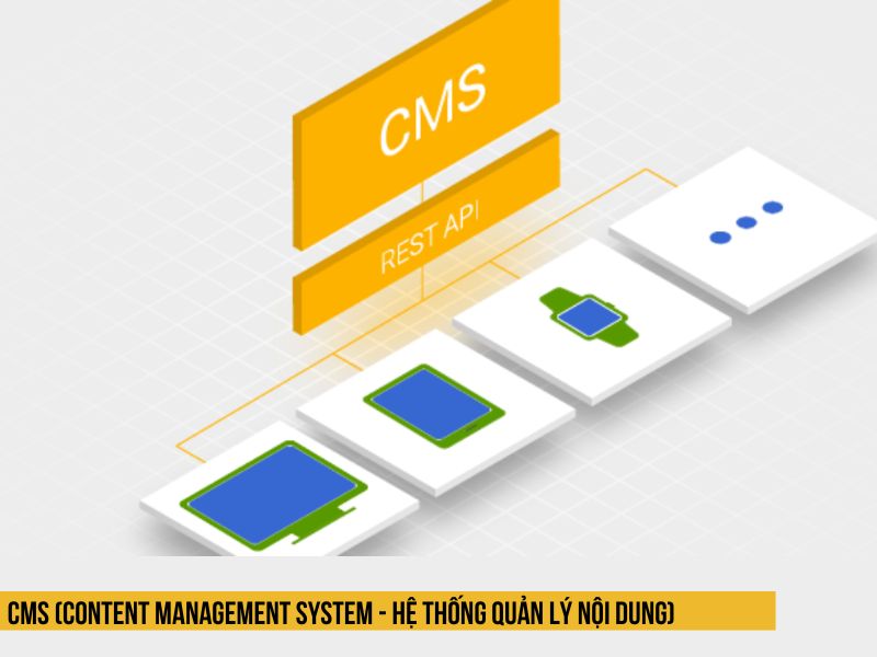  CMS (Content Management System - Hệ thống quản lý nội dung)