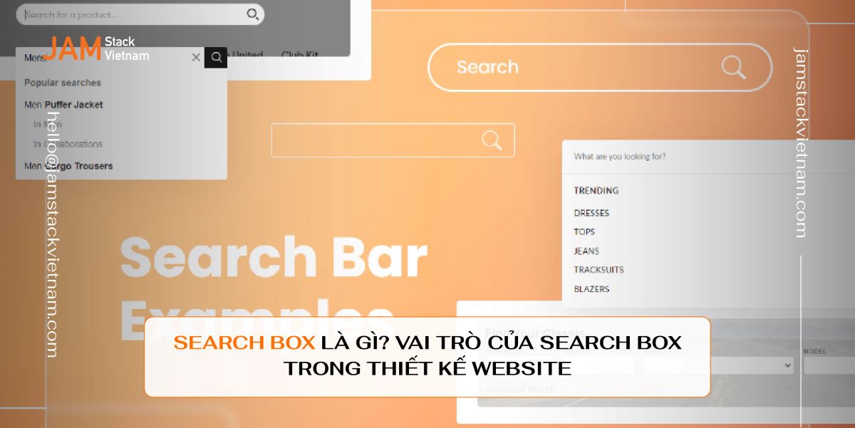 Search box là gì? Vai trò của search box trong thiết kế website như thế nào?